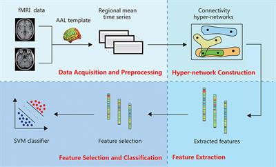 Resting-State Brain Functional Hyper-Network Construction Based on Elastic Net and Group Lasso Methods